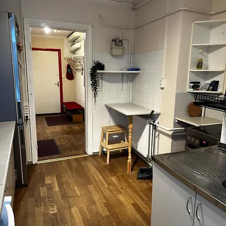 Family Near Kadriorg Swan Pond Reval