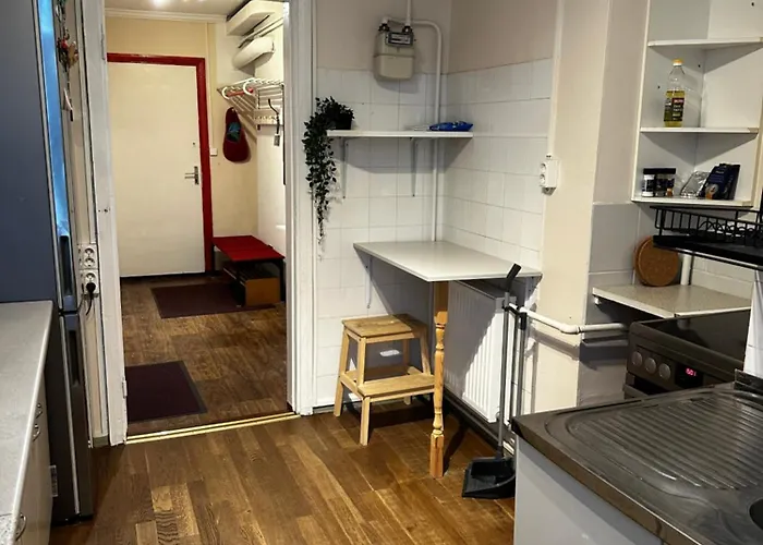 Family Near Kadriorg Swan Pond Reval